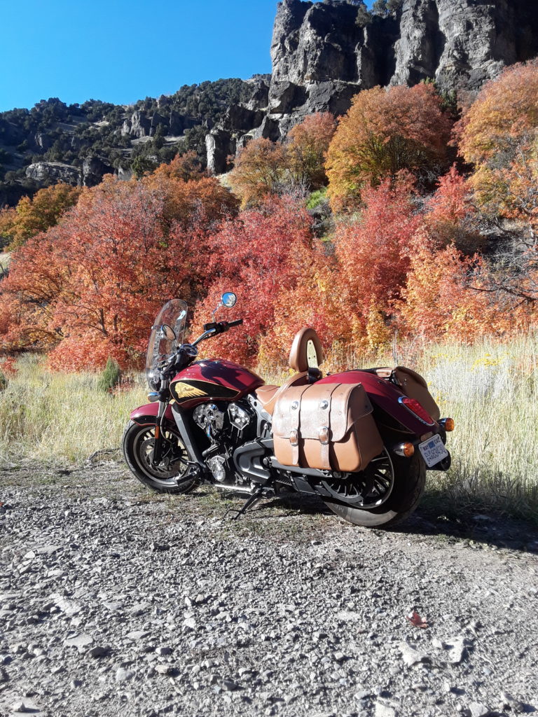 2019 Indian Scout Motorcycle: Spoiler alert we’re in love.