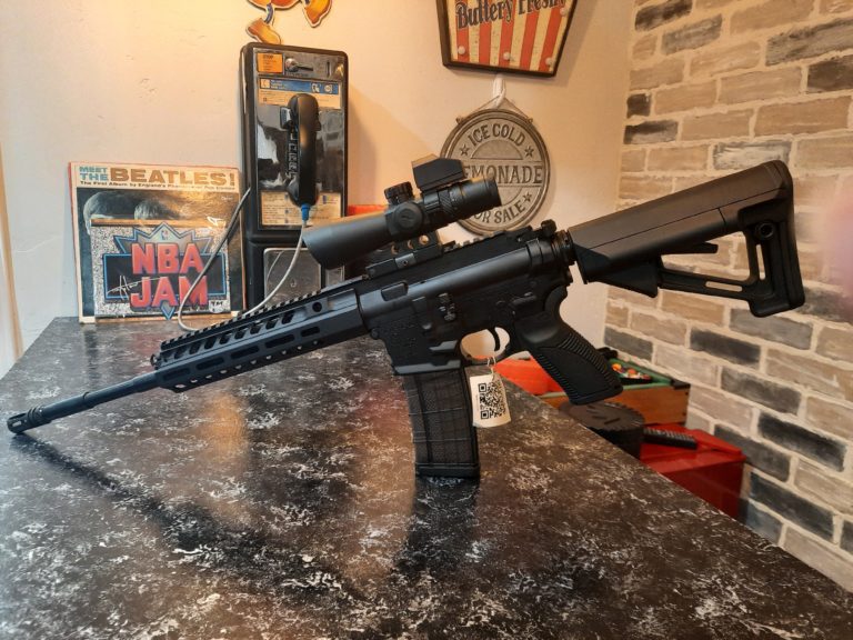 The Caracal 816 A2, is this the best AR out there?